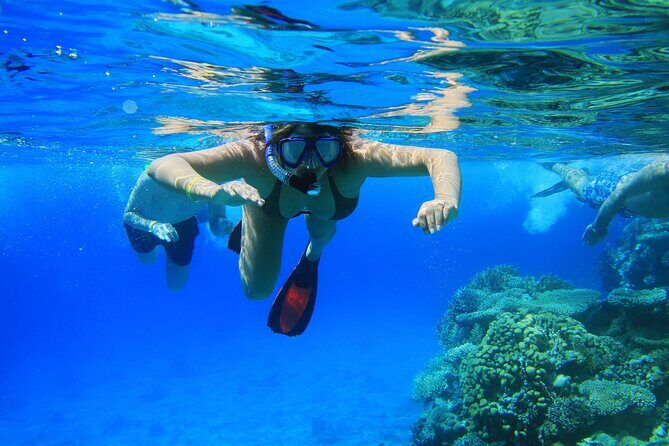 Private Snorkeling Activity in Key Largo - What Makes This Snorkeling Tour Stand Out?