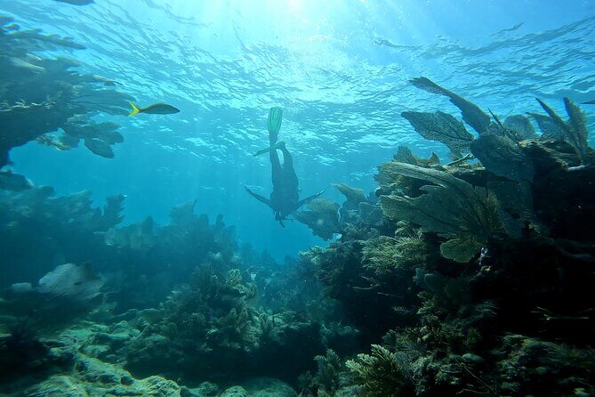 Private Snorkeling Activity in Key Largo - Who Will Enjoy This Tour Most?