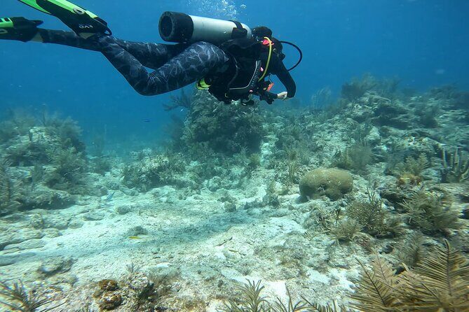 Private Snorkeling Activity in Key Largo - The Sum Up