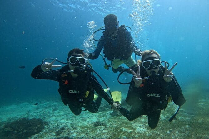 Private Snorkeling and 3 Other Water Activities in Cebu - The Itinerary: What to Expect
