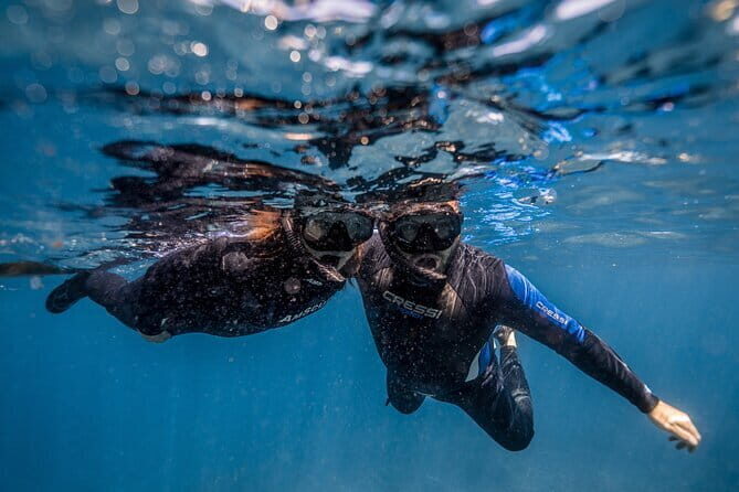 Private Snorkeling and Freediving Trip to Manta Point - The Logistics: From Bookings to the Water