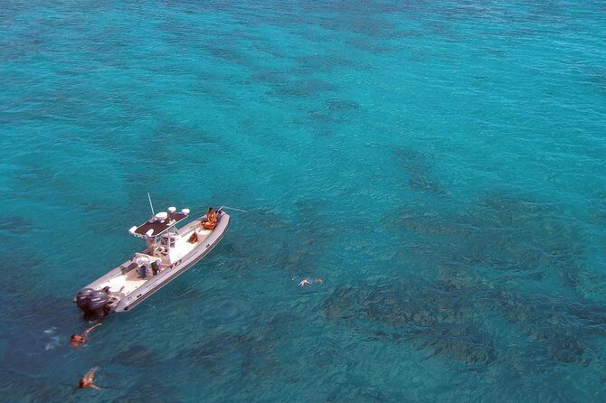 Private Snorkeling and Wildlife on The Adventure Boat - The Sum Up