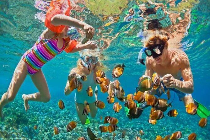 Private Snorkeling day Trip with Paradise Island or Orange Bay - An In-Depth Look at the Experience