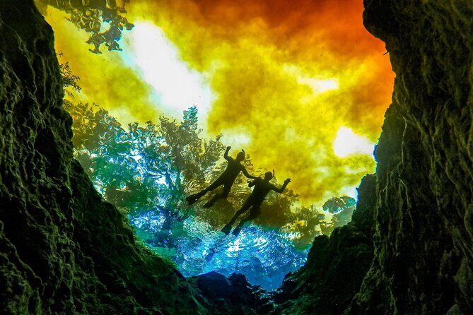 Private Snorkeling Expedition in the Florida Springs - Key Points