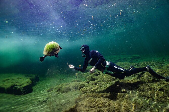 Private Snorkeling Expedition in the Florida Springs - The Sum Up