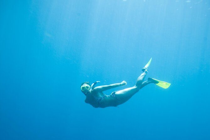 Private Snorkeling Experience in Aqaba Red Sea - Final Thoughts