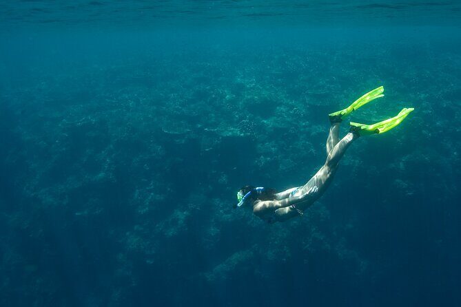 Private Snorkeling Experience in Aqaba Red Sea - Final Words