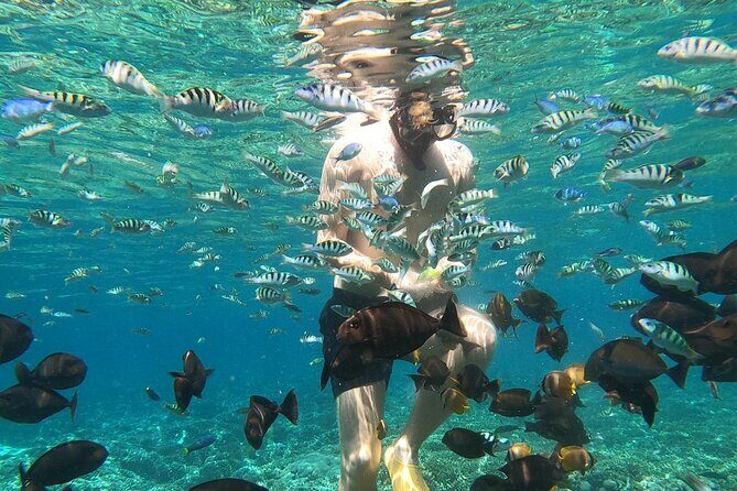 Private Snorkeling from Nusa Penida - The Itinerary Breakdown
