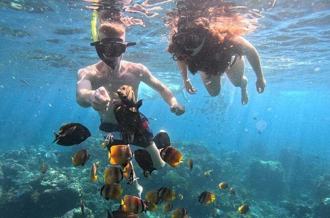 Private Snorkeling from Nusa Penida - The Price and Its Value