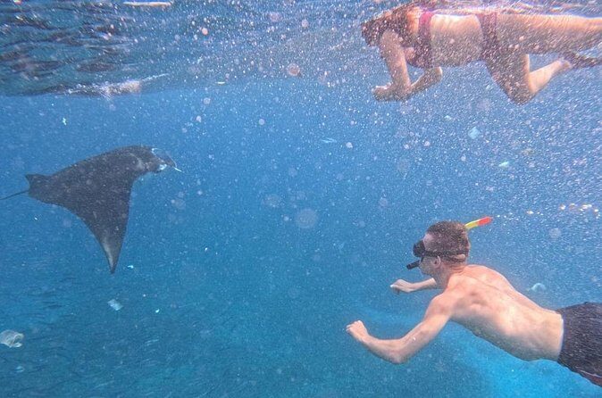 Private Snorkeling from Nusa Penida - FAQs