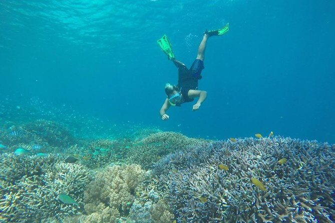 Private Snorkeling Gili Island (Coral, Statue and Turtle) - An Authentic Gili Snorkeling Experience