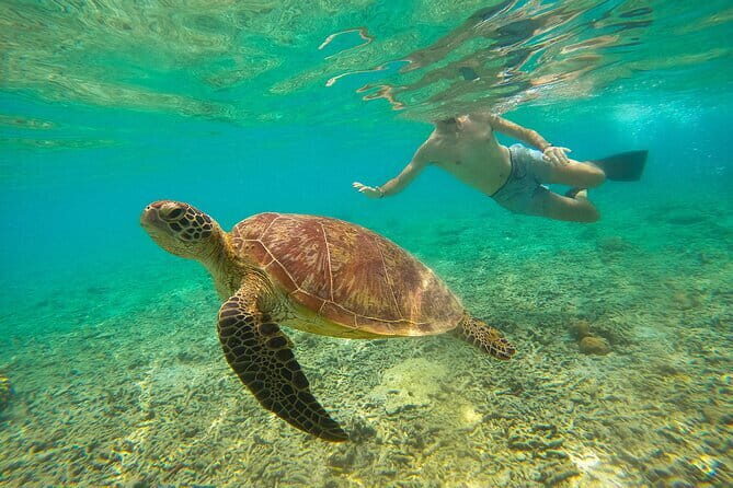 Private Snorkeling in 3 GiIi Islands - An in-depth look at the experience