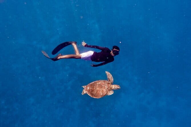 Private Snorkeling in 3 GiIi Islands - Who should consider this tour?