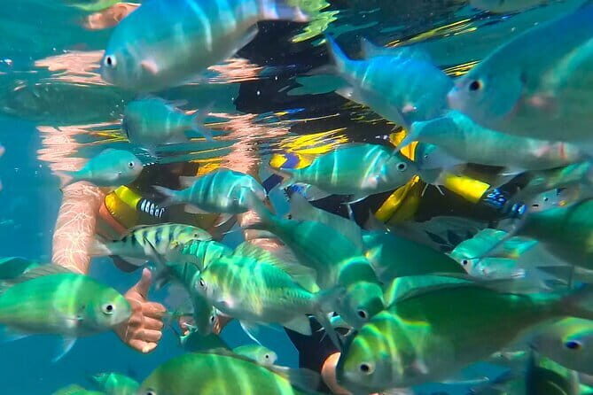Private Snorkeling in 3 GiIi Islands - The Sum Up
