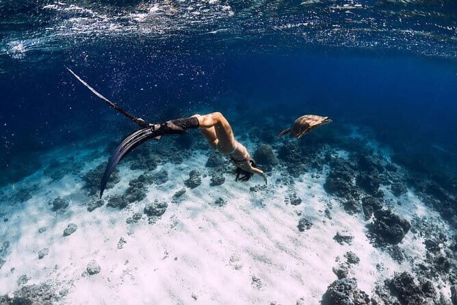 Private Snorkeling in 3 GiIi Islands - FAQ