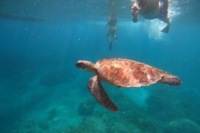 Private Snorkeling in Manta Bay, Gamat Bay & Wall at Nusa Penida - Key Points