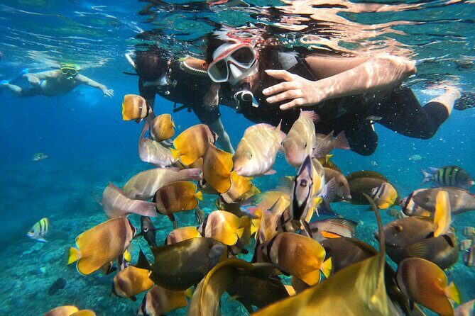 Private Snorkeling in Manta Bay, Gamat Bay & Wall at Nusa Penida - An In-Depth Review of the Experience