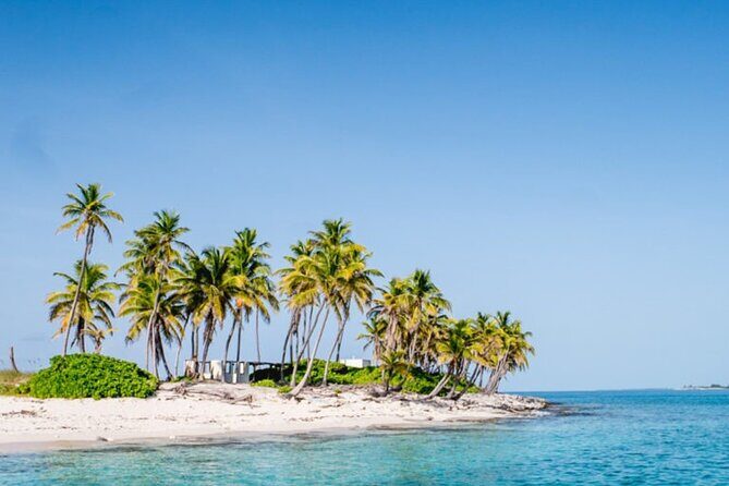 Private Snorkeling or Fishing from Nassau - 31ft Sitting Pretty - Who Will Love This Experience?