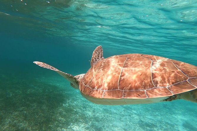 Private Snorkeling or Fishing in Nassau - 55ft Cocorijo - Frequently Asked Questions