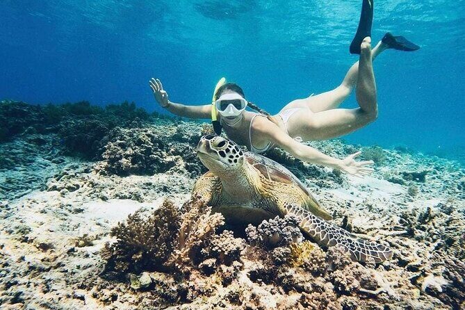 Private Snorkeling Start Gili Meno and Explore 4 Spots with GoPro - Key Points