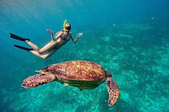 Private Snorkeling Start Gili Meno and Explore 4 Spots with GoPro - FAQ