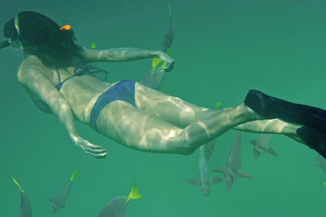 Private Snorkeling Tour in Cabo San Lucas - FAQ