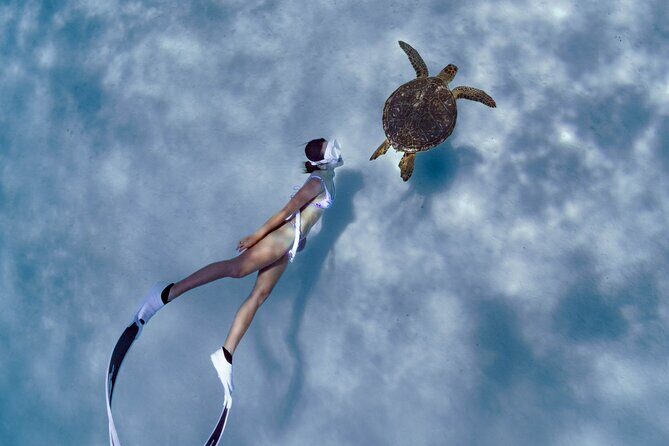 Private snorkeling tour Ishigaki island - Key Points