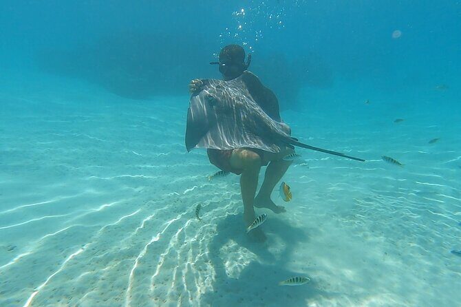 Private Snorkeling Trip on a Polynesian Outrigger - Who Will Love This Tour?