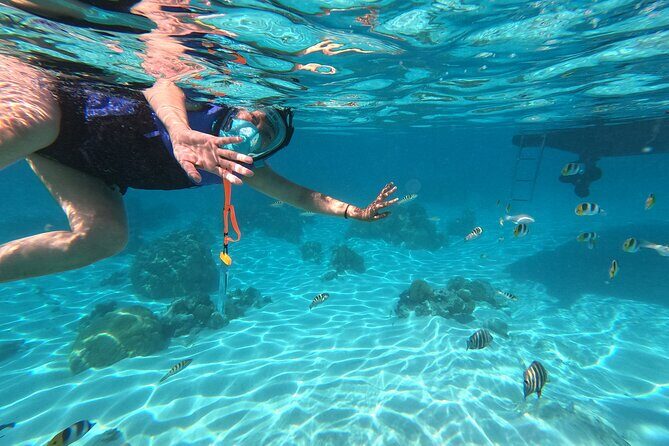Private Snorkeling Trip on a Polynesian Outrigger - FAQ