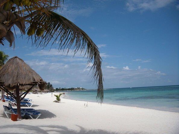 Private Snorkeling with Sea Turtles in Akumal Beach - Key Points