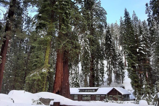 Private Snowshoe Adventure - Sequoia National Park - Final Thoughts: Who Will Enjoy This Tour?