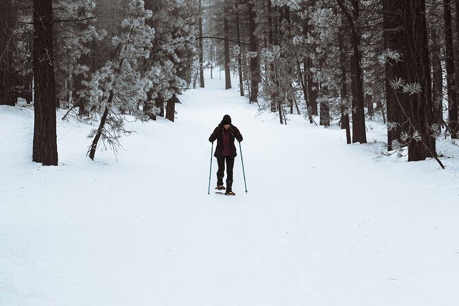 Private Snowshoeing Adventure from Badger Pass to Dewey Point - An In-Depth Look at the Yosemite Snowshoeing Experience