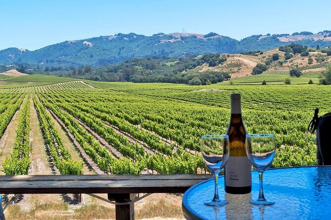 Private Sonoma Valley Wine Country Charter Transportation - Key Points