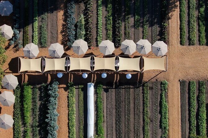 Private Sonoma Wine Tour up to 6 Guests - A Closer Look at the Sonoma Private Wine Tour Experience