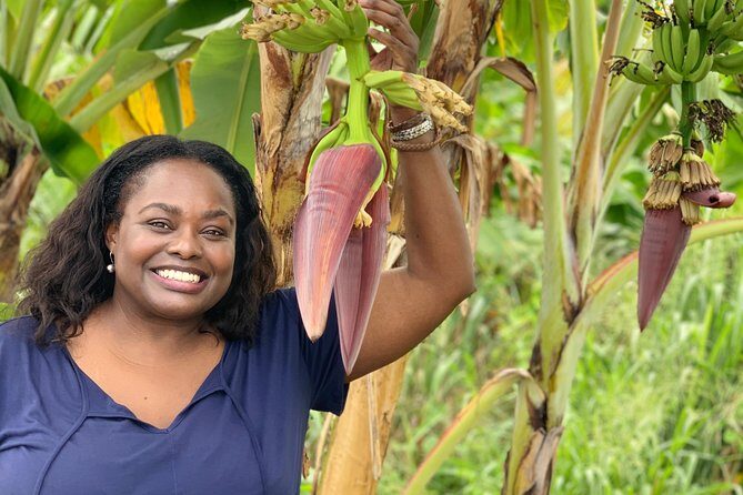 Private Soufriere Experience Tour - FAQ