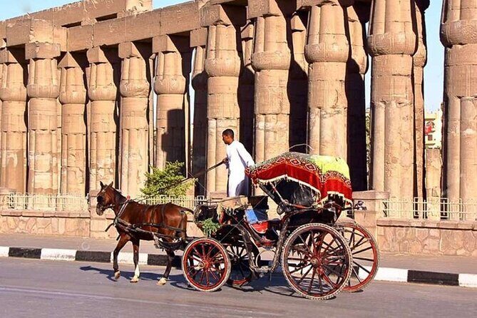 Private Sound and Light Show and Luxor City Tour by Carriage (3 * 1) - Practical Details and Considerations