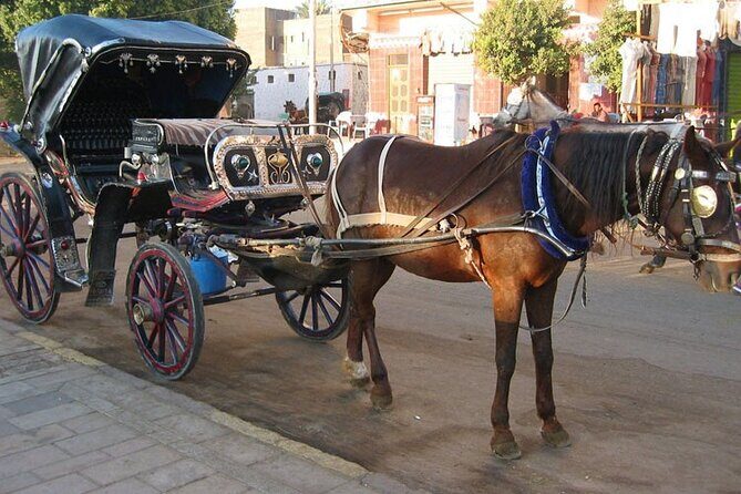Private Sound and Light Show and Luxor City Tour by Carriage (3 * 1) - In The Sum Up