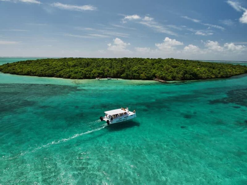 Private SouthEast Lagoon Discovery on Power Catamaran - Final Thoughts: Is This Tour for You?