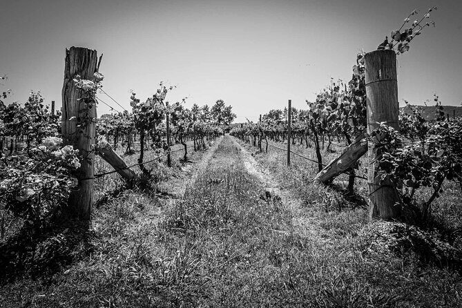 Private Southern Highlands Luxury Wine Indulgence Tour - An In-Depth Look at the Tour