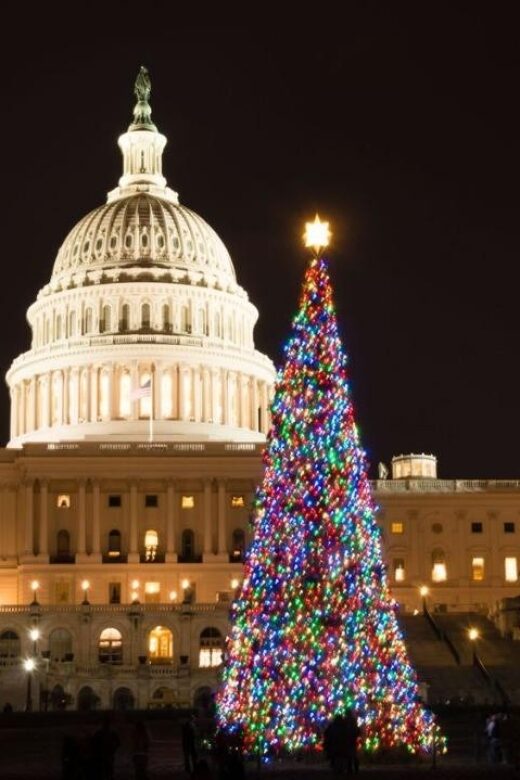 Private Special Christmas tour in Washington - The Value of a Private Tour