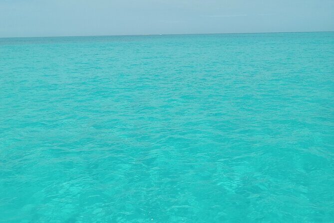 Private speed boat beach and bar hopping visiting Rose island - Discovering the Bahamas: A Private Speedboat Adventure to Rose Island