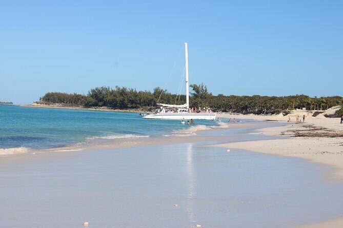 Private speed boat beach and bar hopping visiting Rose island - The Itinerary: A Closer Look at Your Island Escape