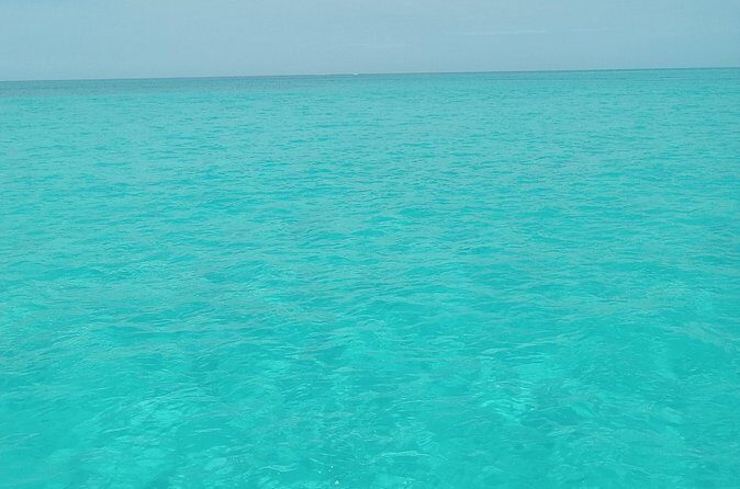 Private speed boat beach and bar hopping visiting Rose island - The Value Proposition
