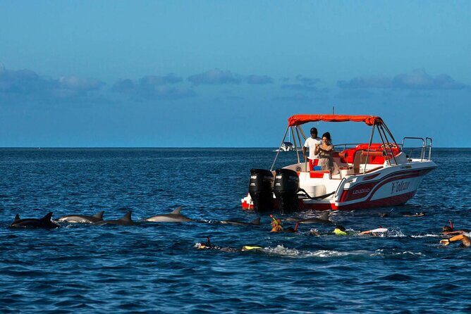 Private Speed Boat Experience To Dolphin House in Hurhgada - Discover the Private Speed Boat Experience to Dolphin House in Hurghada