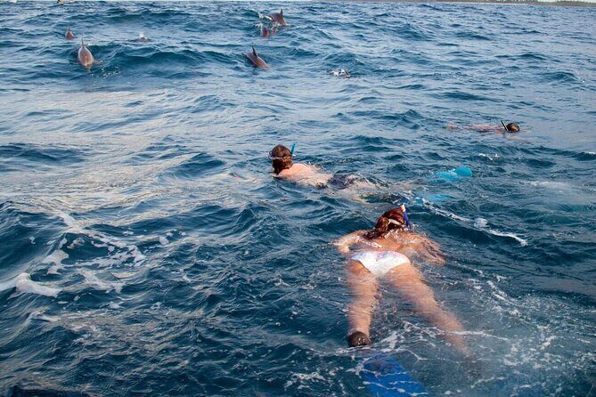 Private Speed Boat Experience To Dolphin House in Hurhgada - Final Thoughts: Why Choose This Experience?
