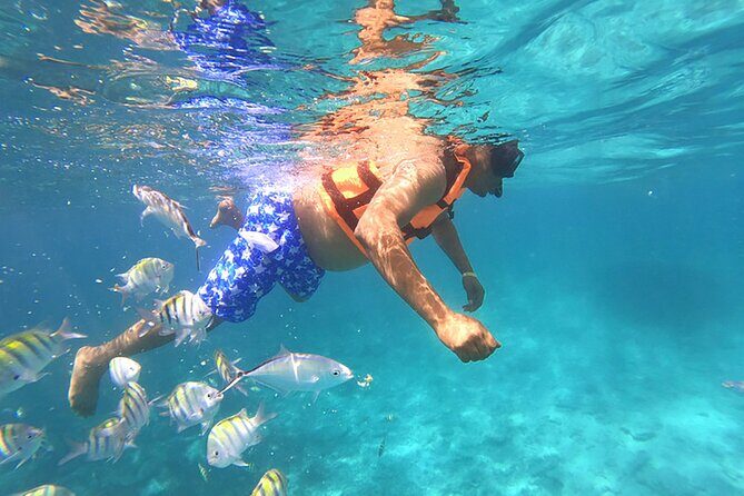 Private Speed Boat Experience with Snorkeling in Punta Cana - The Sum Up: Is This Tour Worth It?