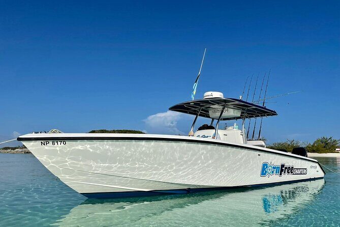 Private Speed Boat for Snorkeling or Fishing in Nassau - 34ft - Why Choose a Private Speed Boat Tour in Nassau?