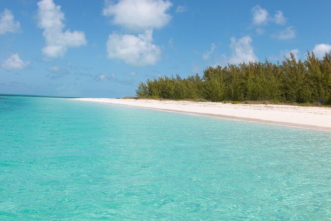 Private Speed Boat for Snorkeling or Fishing in Nassau - 34ft - The Benefits of a Private Charter