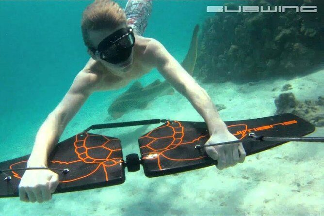 Private Speed Boat & Swim With Dolphins & Water Sports-hurghada - Real Traveler Experiences