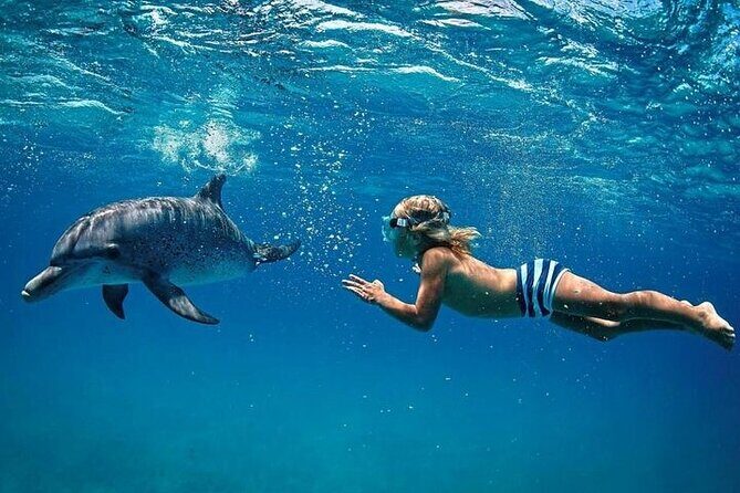 Private Speed Boat Tour and Dolphin Encounter at Ile aux Benitier - In-Depth Review of the Tour